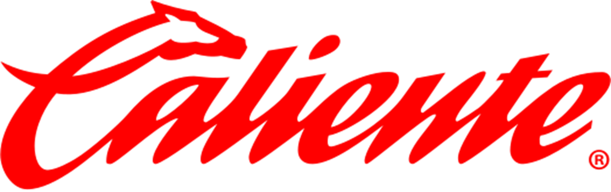 Casino logo